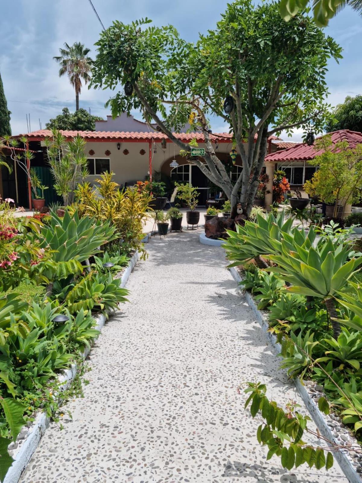 Casa De La Abuela Bed & Breakfast Ajijic Luaran gambar